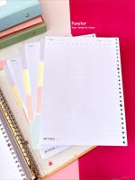 یدک کلاسور A4 پیتیکو کد 621