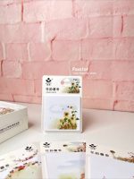 استیک نوت SUNSKY طرح گل - Image 5