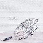 چتر تاشو شفاف طرح لابوبو مشکی